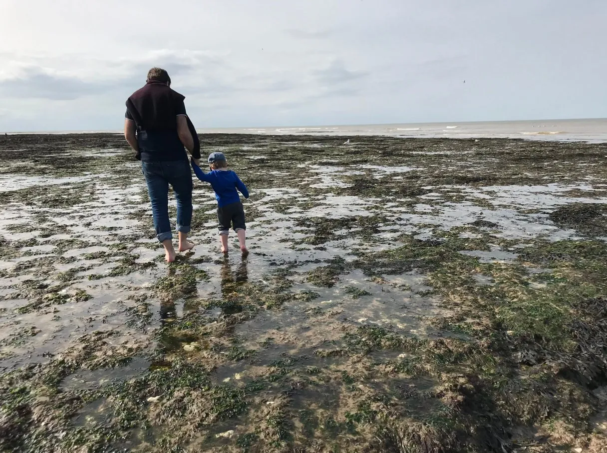 Kate's husband and son, seen from behind, walking hand in hand across rock pools at low tide.