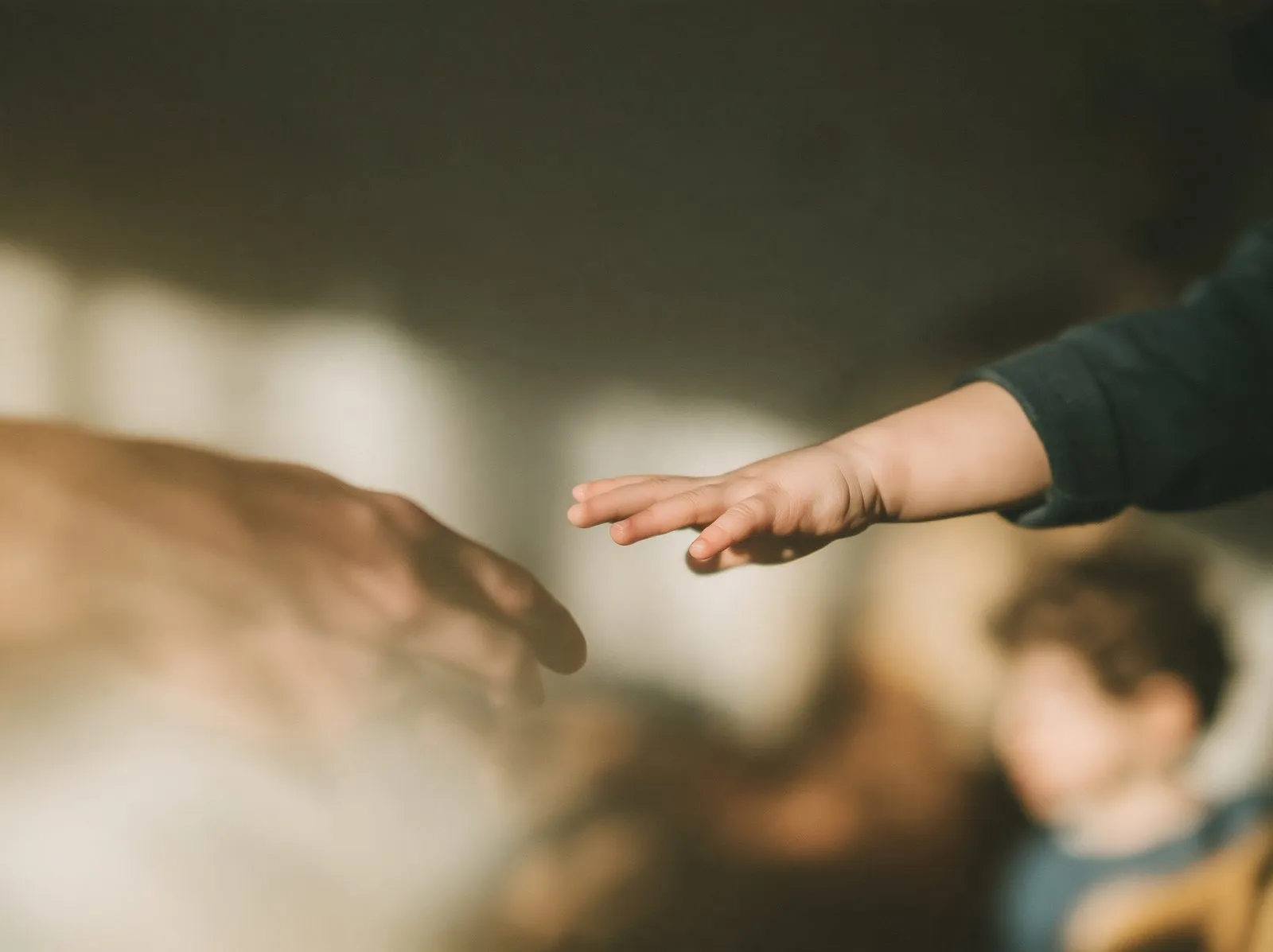 A parent's hand reaching gently towards a small child, in soft afternoon light.